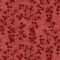Fabric Henry Glass Red Pressed Leaves Flossie's Flowers by the Quarter Yard 3375-88